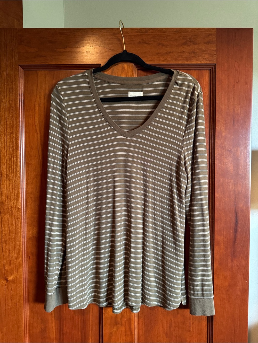 Thread & Supply Green and White Striped V-Neck Long Sleeve Top